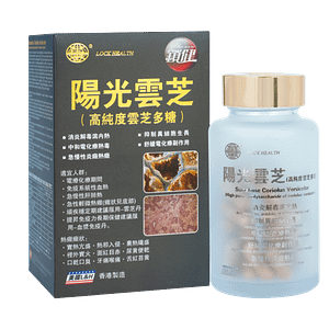 陽光雲芝